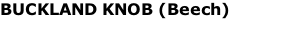 BUCKLAND KNOB (Beech)
